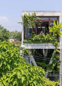 Transform Your Rooftop Into A Green Sanctuary: Modern Urban Oasis Inspiration For Slow Living-16