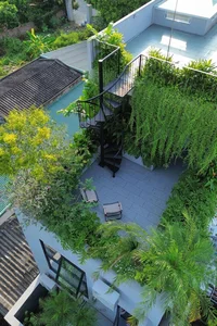 Transform Your Rooftop Into A Green Sanctuary: Modern Urban Oasis Inspiration For Slow Living-1