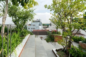 Transform Your Rooftop Into A Green Sanctuary: Modern Urban Oasis Inspiration For Slow Living-19