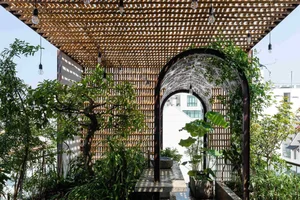 Transform Your Rooftop Into A Green Sanctuary: Modern Urban Oasis Inspiration For Slow Living-3