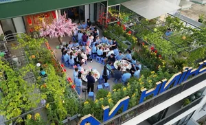 Transform Your Rooftop Into A Green Sanctuary: Modern Urban Oasis Inspiration For Slow Living-15