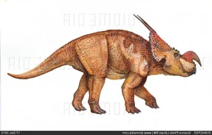 Discover Einiosaurus: The Fascinating Hook-Horned Ceratopsian Dinosaur of the Late Cretaceous Period Found in Montana's Fossil Beds-3