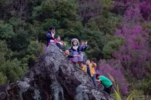 Discover Mù Cang Chải's Tớ Dày Flower Season: The Captivating Beauty of Northwestern Mountains Awaits You!-6