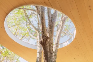 Modern Minimalist Glass and Wood Forest Retreat: A Serene One-Story Sanctuary for Slow Living and Nature Immersion-0