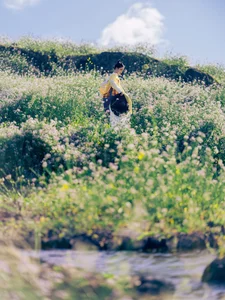 The Art of Seasonal Transitions: Embracing Early Summer with Tu Ya W-5