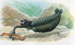 Bizarre Wonders of the Cambrian Explosion: Exploring the Alien-Like Ancient Marine Creatures That Redefined Evolutionary History-2