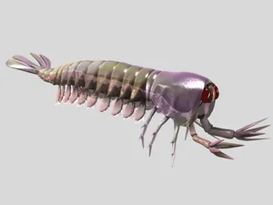 Bizarre Wonders of the Cambrian Explosion: Exploring the Alien-Like Ancient Marine Creatures That Redefined Evolutionary History-5