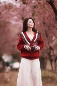 Lost in a Pink Paradise: Moc Chau's Enchanting Cherry Blossom Road Awaits-10