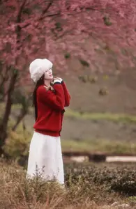 Lost in a Pink Paradise: Moc Chau's Enchanting Cherry Blossom Road Awaits-3