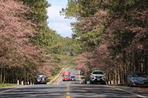 Discover Mang Den: Vietnam’s Enchanting Spring Destination with Blooming Cherry Blossoms and Rich Ethnic Traditions for Your Next Adventure-2