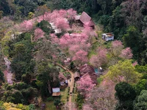 Discover Mang Den: Vietnam’s Enchanting Spring Destination with Blooming Cherry Blossoms and Rich Ethnic Traditions for Your Next Adventure-10