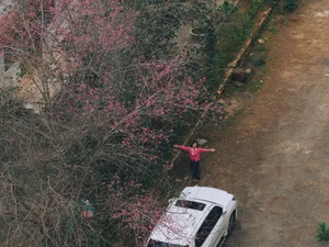 Discover Mang Den: Vietnam’s Enchanting Spring Destination with Blooming Cherry Blossoms and Rich Ethnic Traditions for Your Next Adventure-5