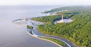 Discover Ca Mau: A Journey to the Southernmost Tip of Vietnam’s Mangrove Forests and Coastal Wonders-1