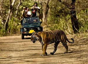 Explore Kaziranga: The Majestic Home of Asia's Big Five and Wild Beauty-1