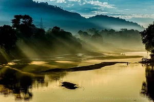 Explore Kaziranga: The Majestic Home of Asia's Big Five and Wild Beauty-6