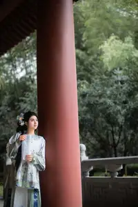 Timeless Grace: YiTuYu Art Language Vol.8576 TOT in Ancient Chinese Splendor-4