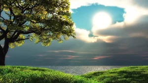 Explore 100+ stunning Full HD nature and landscape wallpapers for desktop-84