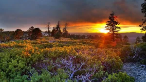 Explore 100+ stunning Full HD nature and landscape wallpapers for desktop-90