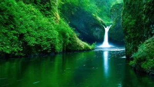 Explore 100+ stunning Full HD nature and landscape wallpapers for desktop-93