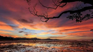 Explore 100+ stunning Full HD nature and landscape wallpapers for desktop-45