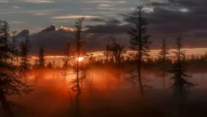 Explore 100+ stunning Full HD nature and landscape wallpapers for desktop-73