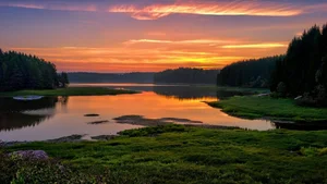 Explore 100+ stunning Full HD nature and landscape wallpapers for desktop-77