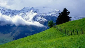 Explore 100+ stunning Full HD nature and landscape wallpapers for desktop-26