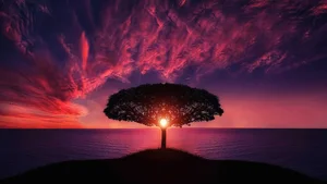 Explore 100+ stunning Full HD nature and landscape wallpapers for desktop-51