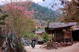 Muong Tip Children's Smiles Amidst Nghe An's Bright Cherry Blossoms-4