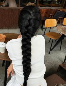 Gentle Beautiful Girl: Alluring Black Braided Ponytail Hairstyle - Elegant Look-17