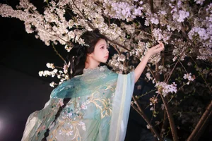 Ethereal Night Cherry Blossoms Photography: Art Language Vol.9125 Featuring Fei Fei in a Stunning Sakura Nightscape-10