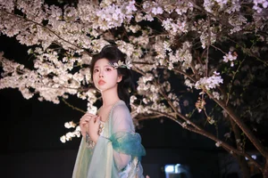 Ethereal Night Cherry Blossoms Photography: Art Language Vol.9125 Featuring Fei Fei in a Stunning Sakura Nightscape-14