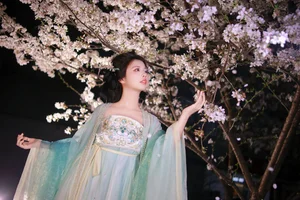Ethereal Night Cherry Blossoms Photography: Art Language Vol.9125 Featuring Fei Fei in a Stunning Sakura Nightscape-4