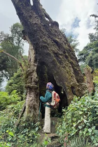 Conquering Ta Chi Nhu Summit: An Emotional Journey Above the Clouds-9