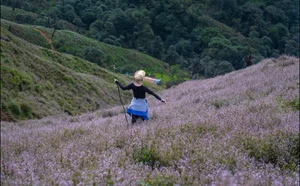 Conquering Ta Chi Nhu Summit: An Emotional Journey Above the Clouds-7
