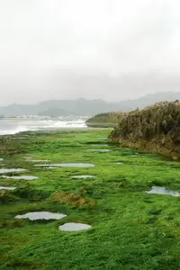 Discover Hon Do: Lush Green Moss Beach and Majestic Sea Cave, a Mesmerizing Landscape in Khanh Hoa.-9