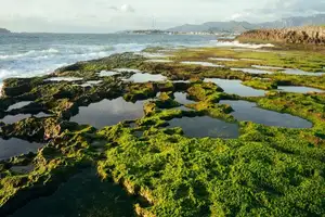 Discover Hon Do: Lush Green Moss Beach and Majestic Sea Cave, a Mesmerizing Landscape in Khanh Hoa.-5