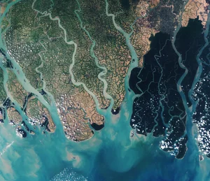 Discover the mystical wonders of Sundarbans the world's largest mangrove forest-4