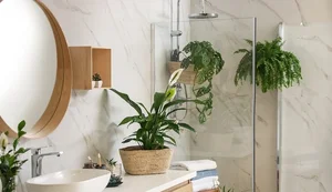 5 Common Indoor Plant Placement Mistakes to Avoid for a Healthier, Safer, and More Beautiful Home Environment-5