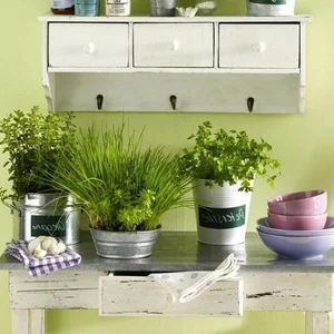 5 Common Indoor Plant Placement Mistakes to Avoid for a Healthier, Safer, and More Beautiful Home Environment-4