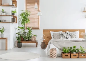 5 Common Indoor Plant Placement Mistakes to Avoid for a Healthier, Safer, and More Beautiful Home Environment-10