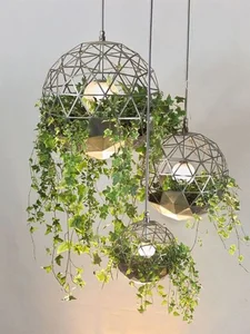 5 Common Indoor Plant Placement Mistakes to Avoid for a Healthier, Safer, and More Beautiful Home Environment-7