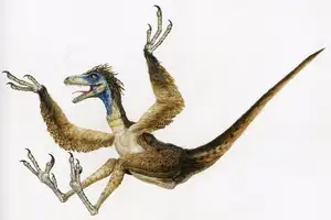 Ancient Creatures Discover Sinornithosaurus Venomous Feathered Dinosaur Mystery-1