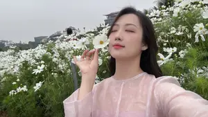 Gentle Beauty Amidst White Cosmos Field A Serene Moment-9