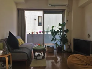 Japanese Smart Layout Secrets: Making Small Spaces Feel Endless and Serene-8