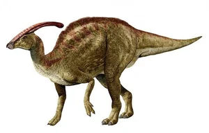 Unlocking the Mystery of Parasaurolophus: Why This Iconic Duck-Billed Dinosaur Had a Spectacular Two-Meter Crest and How It Used Sound to Communicate.-5