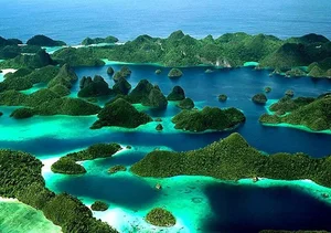 Exploring Raja Ampat: Indonesia’s Surreal Paradise of Biodiversity, Pristine Limestone Islands, and the World’s Best Scuba Diving Destinations-8