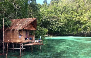 Exploring Raja Ampat: Indonesia’s Surreal Paradise of Biodiversity, Pristine Limestone Islands, and the World’s Best Scuba Diving Destinations-5