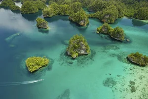 Exploring Raja Ampat: Indonesia’s Surreal Paradise of Biodiversity, Pristine Limestone Islands, and the World’s Best Scuba Diving Destinations-2