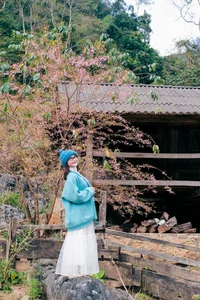 Hang Tau Moc Chau: Unplug in Vietnam’s 'Primitive Village' Where Life Moves at Nature’s Pace-4